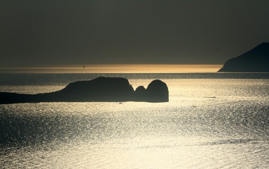 IMG_2543a.jpg